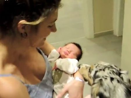 Dog welcomes three-day-old as newest member in the family… it’s so, so cute