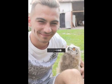 This baby owl rushes out even it is day time; the reason will leave you stunned