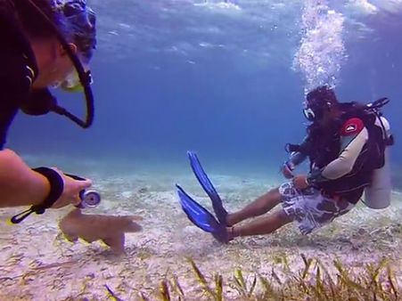 This sea creature is following the scuba divers like a lost puppy… cute