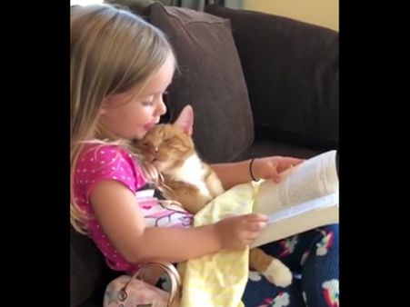 This furry pet needs a bedtime story to go to sleep!