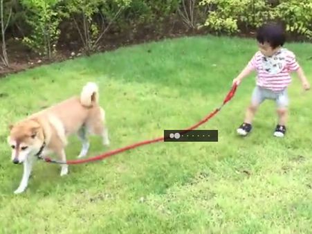 Who is taking whom for the walk here? We are not sure but it looks a cute pair