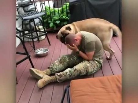 This big dog has gone mad and his madness is too cute