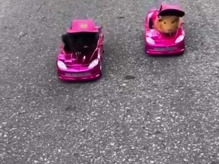 Two cute little car racers take on each other in a close competition on road pavement