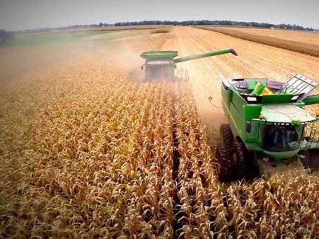 Mr Soybean is a proxy in the US-China trade war