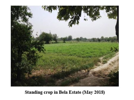 The farmers of Yamuna khadar: a manifesto for urban farming