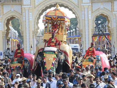 How majestic jumbos are groomed for Jamboo Savari