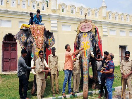 Colours riot on Dasara elephants