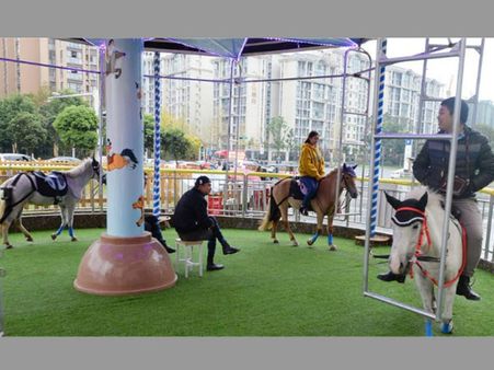 Merry-go-round in China uses real horses to give ride in circles