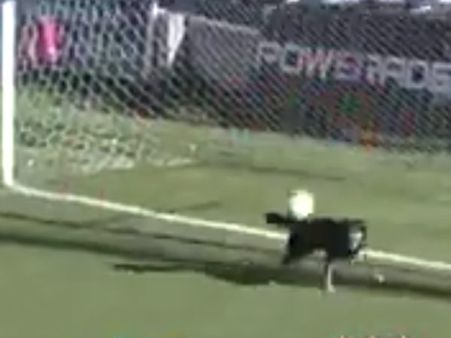 Video: Dog comes out of nowhere to save a goal in a football match in Argentina