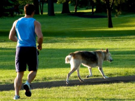 Bengaluru now has its first park dedicated to dogs