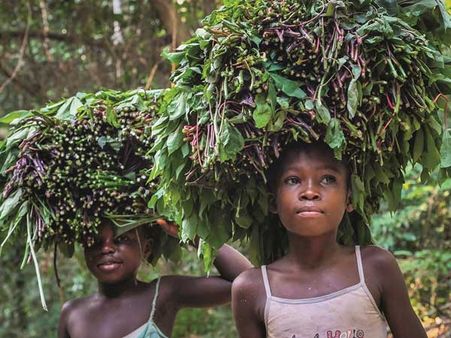 Nutrition targets 2025 or zero hunger by 2030 still a distant dream for India: Report