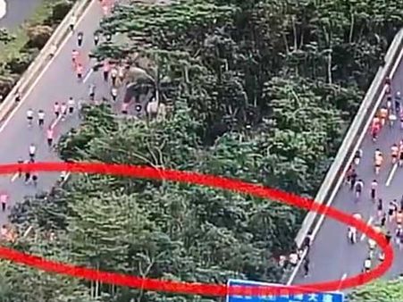 China: Hundreds of marathon runners found taking shortcuts in race; slammed for dishonesty