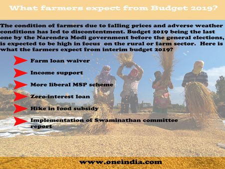 What farmers expect from Budget 2019?