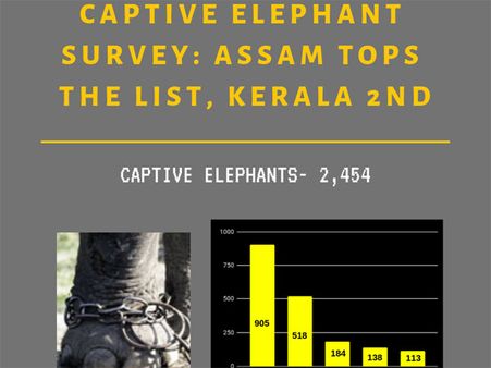 First captive elephant survey out: This is where your state stands