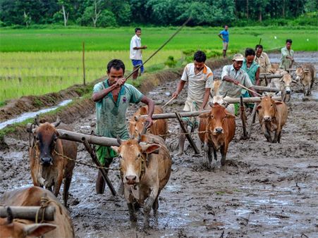Interim budget 2019: Rs 6k a year scheme for farmers gets mixed reaction