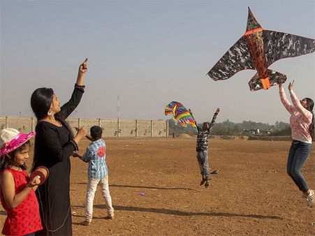 Here's why birds hate Sankranti