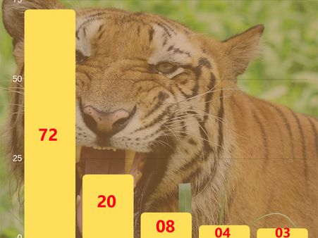 In numbers: Tiger deaths in India