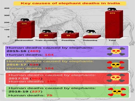 Human-Elephant conflict a mammoth concern
