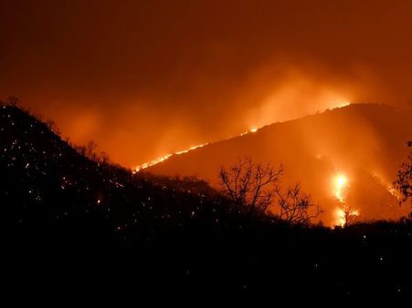 Karnataka: Major fire in Bandipur Tiger Reserve, hundreds of acres destroyed
