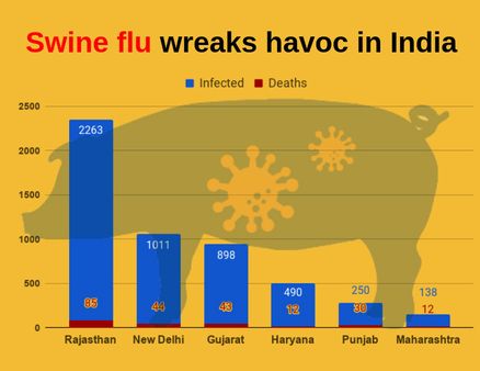 Swine flu wreaks havoc in India: 226 deaths reported so far in 2019