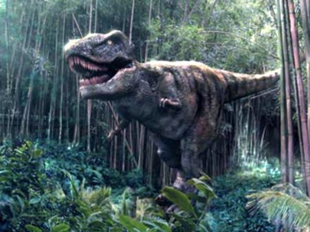 Tyrannosaurus rex found in Canada is 'Rex of rexes'