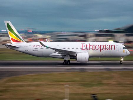 Preliminary report on Ethiopian Airlines crash to be made public soon