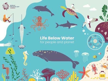 World Wildlife Week: Life below water matters