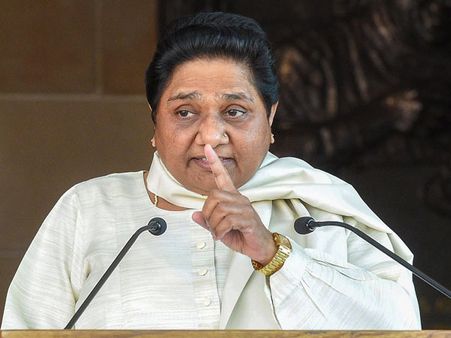 Statues represent will of the people: Mayawati tells SC