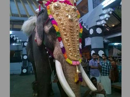 Thrissur Pooram stares at crisis after Govt bans Kerala's most-loved elephant