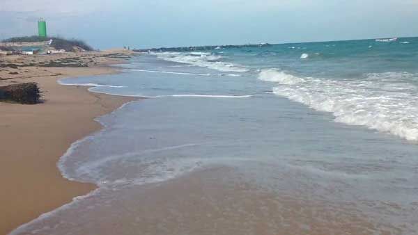 Climate change may kill 17% of all sea life by end of century