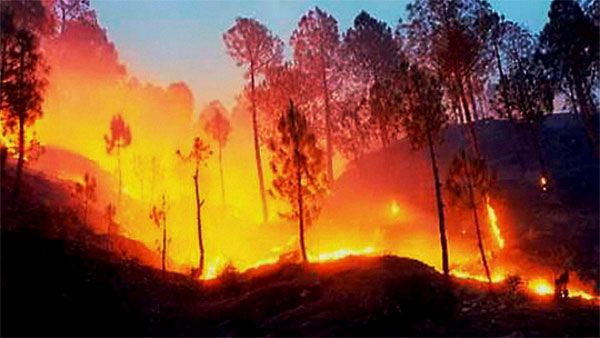 Underground fire in Mohammadi range forests in UP triggers panic
