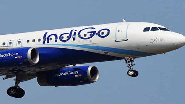 IndiGo grounds 30 aircraft due to supply disruptions