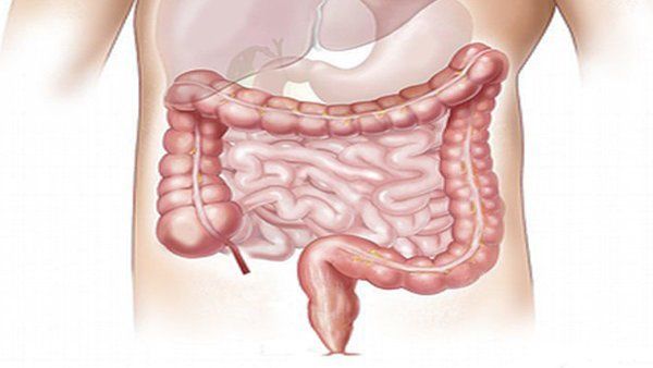 Endoscopy to be thing of the past soon, this mini-robot that can take images inside colon
