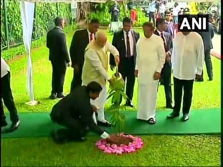 Modi in Sri Lanka: PM plants Ashoka sapling at President's House
