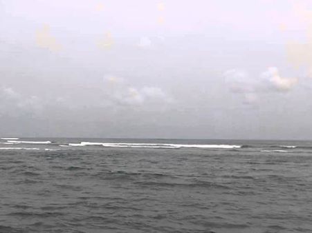 World Oceans Day 2019: Why oceans are the reason we are able to breathe