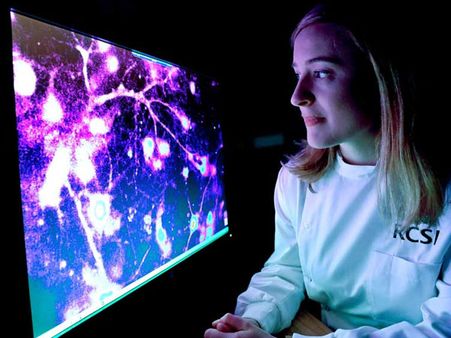 New study could help predict seizures before they happen