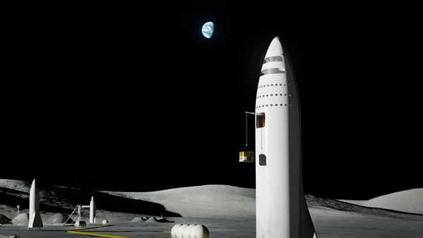 From Dogs, fruit flies to Chimpanzee, animals that went into Space before Humans did!