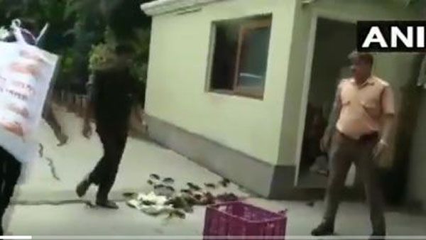 Ratnagiri dam breach : NCP workers throw crabs outside Maha minister’s house