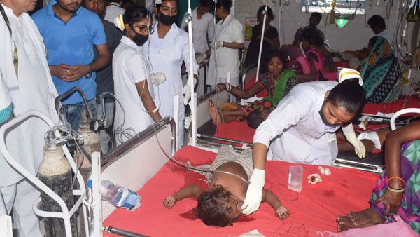 Tripura launches awareness campaign on Japanese Encephalitis