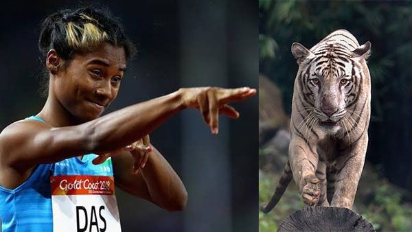 Bangalore zoo names 6 month old tiger cub, 'Hima Das'