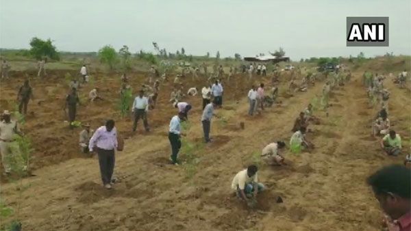Unique protest: Telangana forest officials launch plantation drive to protest against TRS attack