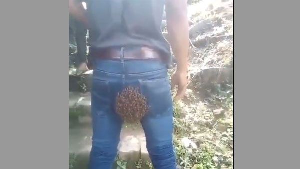 This can happen only in Nagaland: Kiren Rijju posts video of unique Beehive