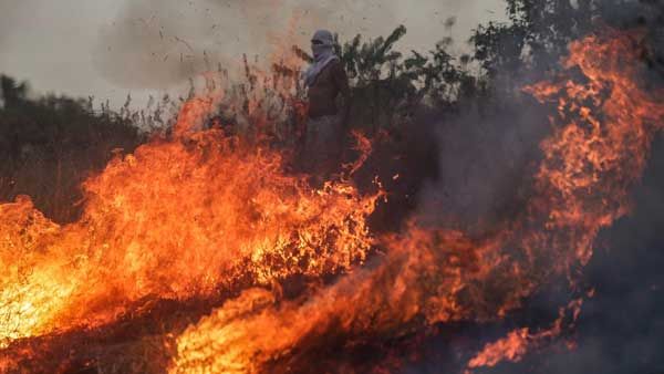 #PrayForAmazon: Record number burning in Brazil rainforest, could have global consequences
