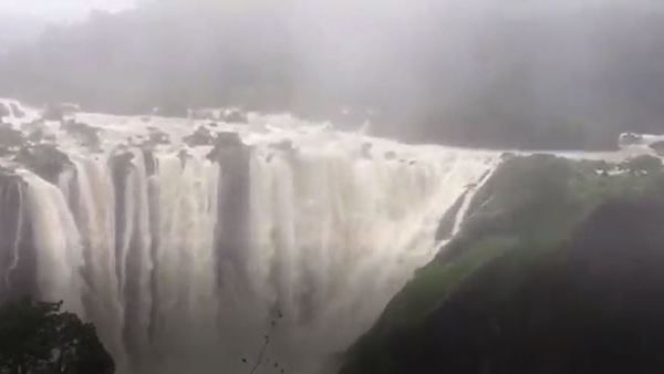 Jog Falls at it’s best during monsoon, see the video