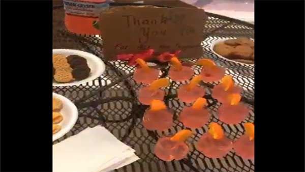 Video of girl arranging a funeral for her lizard goes viral leaves Twitterati in splits