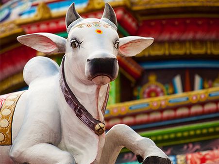 Bahula Chaturthi 2019: Date, time, Puja timings, Vrat Katha and Significance