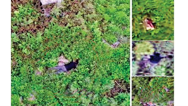 Watch: Indian Army foils Pakistan BAT attack in J&K's Keran sector, guns down 5-7