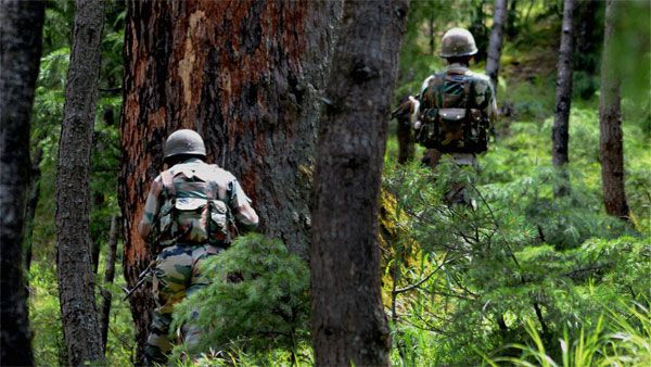 J&K: Top LeT terrorist who was involved in attack on a merchant's family gunned down