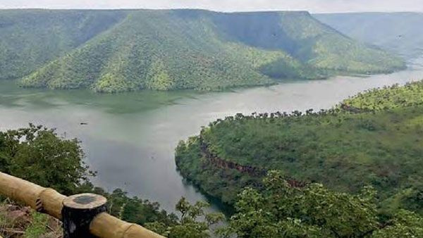 #StopUraniumMining: It is Centre vs State against treasured Nallamala forests