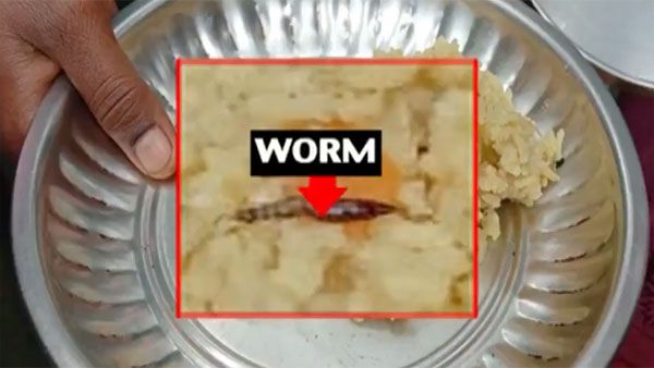Worm found in Bengaluru's Indira canteen food